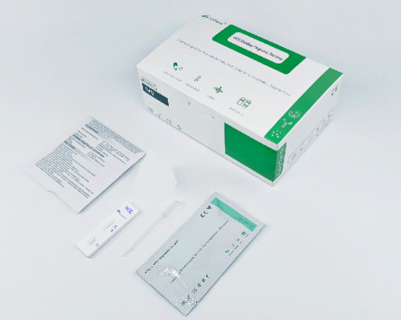 Et trin hurtig graviditetstest Kit HCG